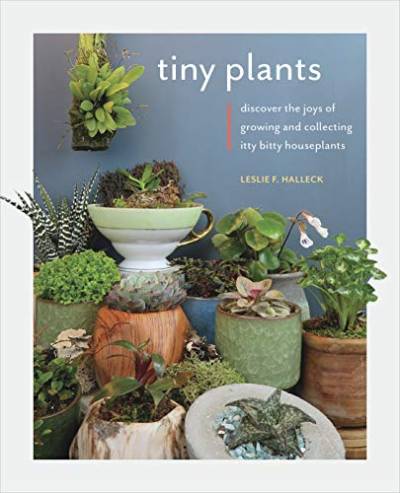 Tiny Plants: Discover the joys of growing and collecting itty-bitty houseplants von Cool Springs Press